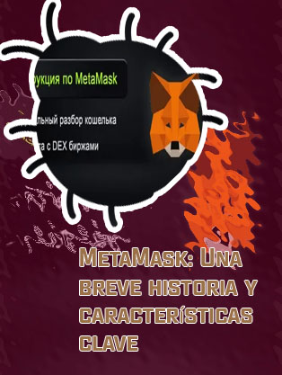 Añadir btc a metamask