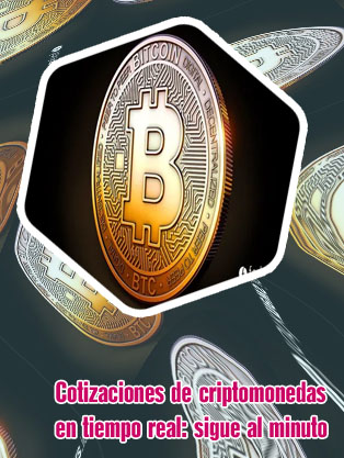 Valor bitcoin tiempo real dólar