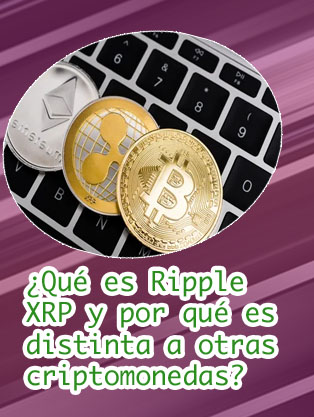 Xrp criptomonedas